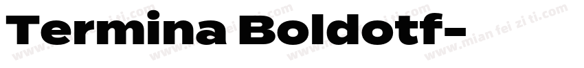 Termina Boldotf字体转换